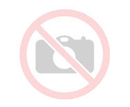 bus trasporto disabili bari 